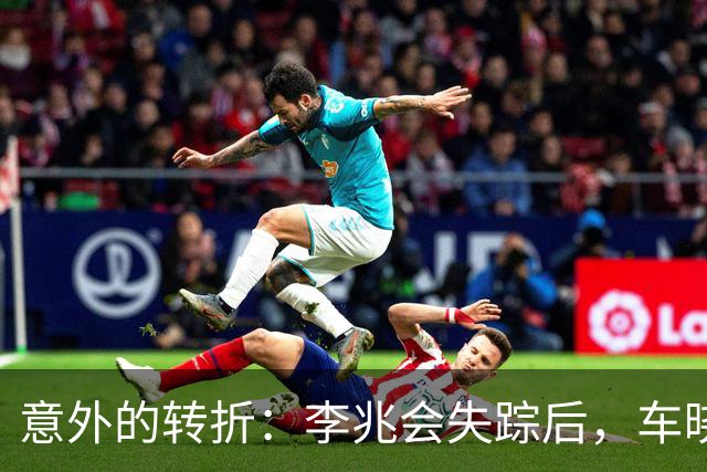 意外的转折：李兆会失踪后，车晓的坚韧人生